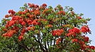 DSC04997.jpg