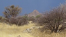 DSC05092.jpg