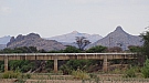 DSC05130.jpg