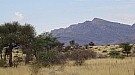 DSC05139.jpg
