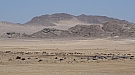 DSC05244.jpg