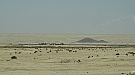 DSC05248.jpg