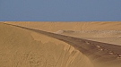 DSC05445.jpg