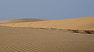 DSC05446.jpg