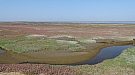 DSC05479.jpg