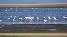 DSC05480.jpg