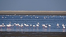 DSC05489.jpg