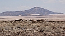 DSC05557.jpg