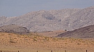 DSC05633.jpg
