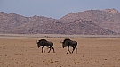 DSC05698.jpg