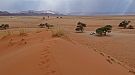 DSC05706.jpg