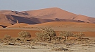 DSC05865.jpg