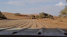 DSC05874.jpg