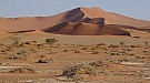 DSC05878.jpg