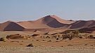 DSC05881.jpg