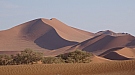 DSC05895.jpg