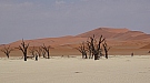 DSC06011.jpg