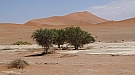 DSC06075.jpg