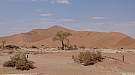 DSC06083.jpg