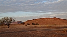 DSC06178.jpg