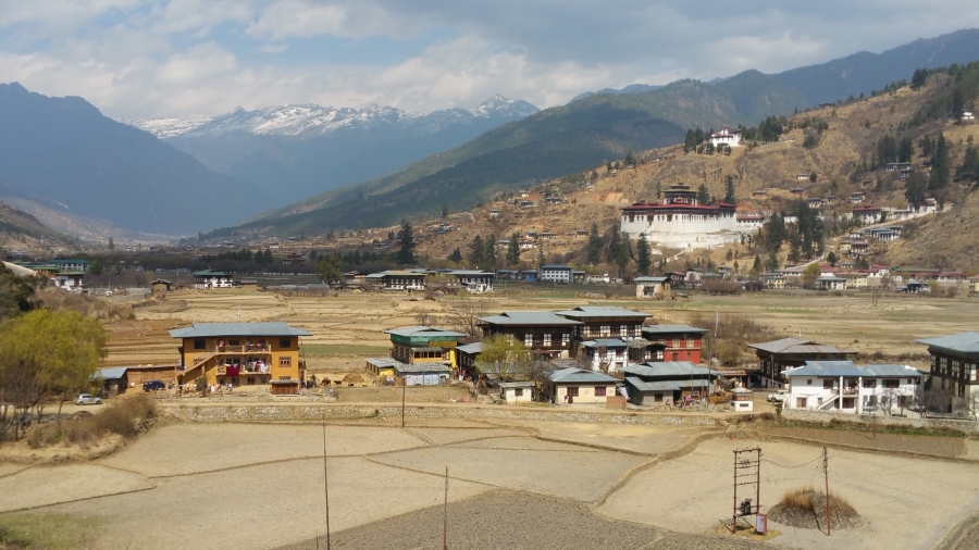 20180305_130923.jpg