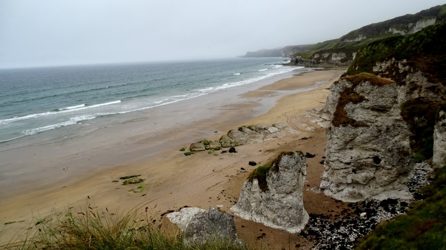DSC08070.jpg