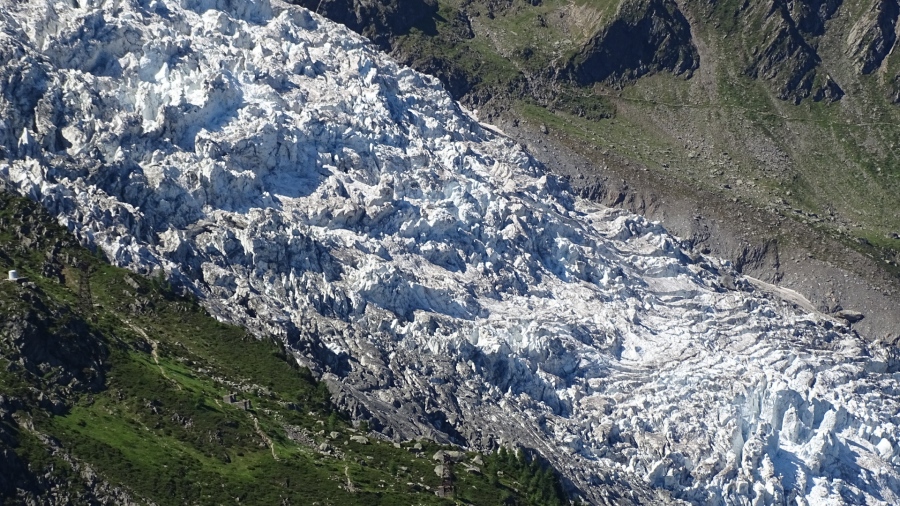 DSC08450.jpg