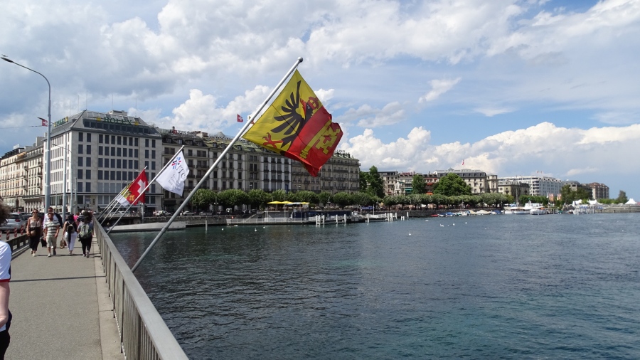DSC09281.jpg
