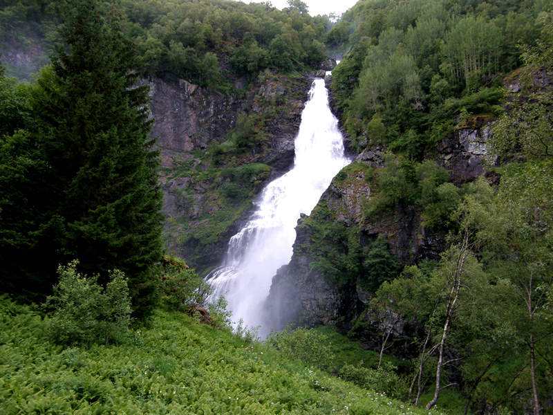 1037.jpg