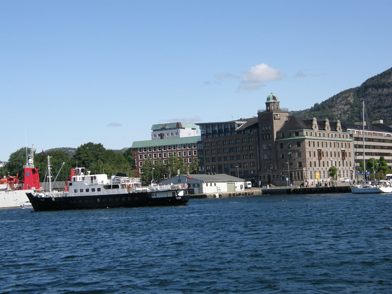 1135.jpg