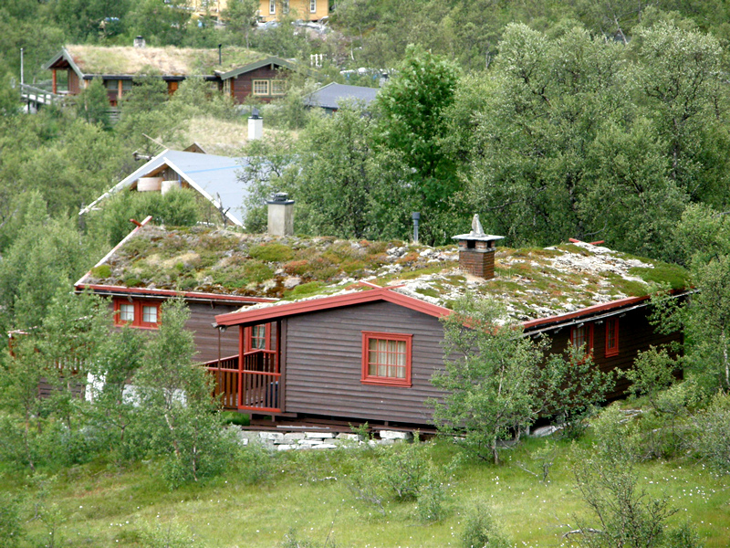1436.jpg