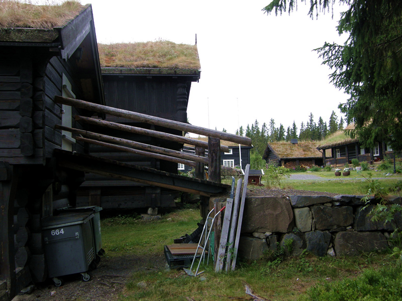 291.jpg