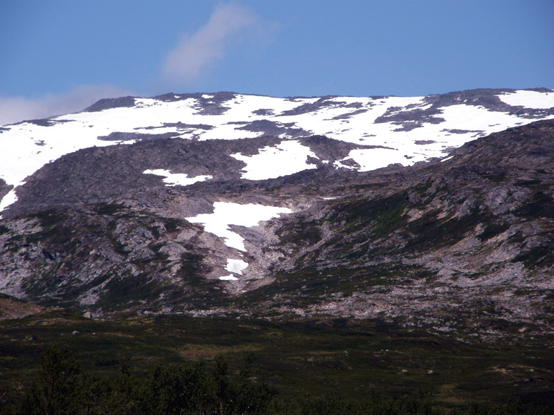 490.jpg