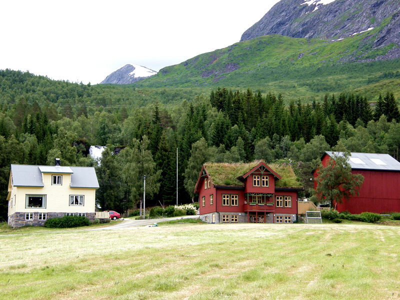 685.jpg