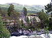 478.jpg