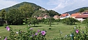 IMG_20240817_105051.jpg