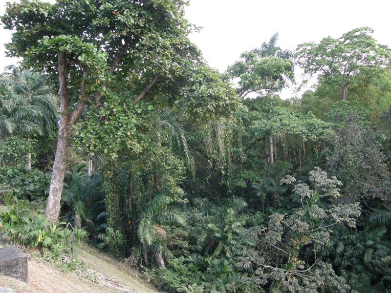 P2110175.jpg