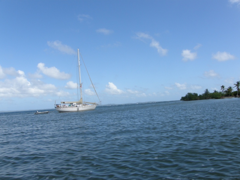 P2130342.jpg