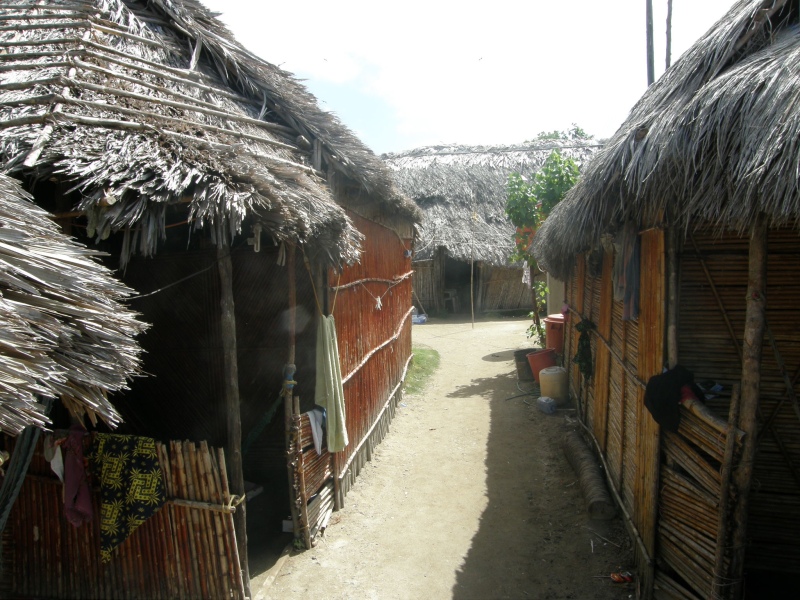P2130356.jpg