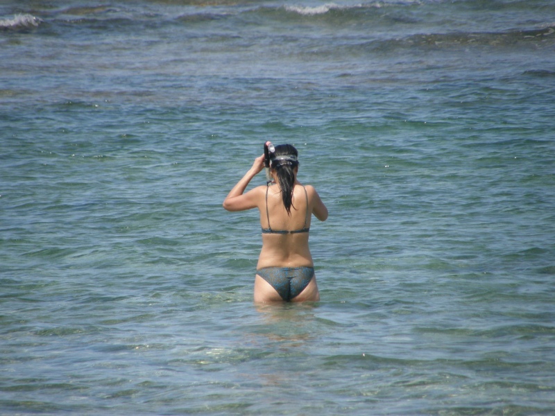 P2130444.jpg