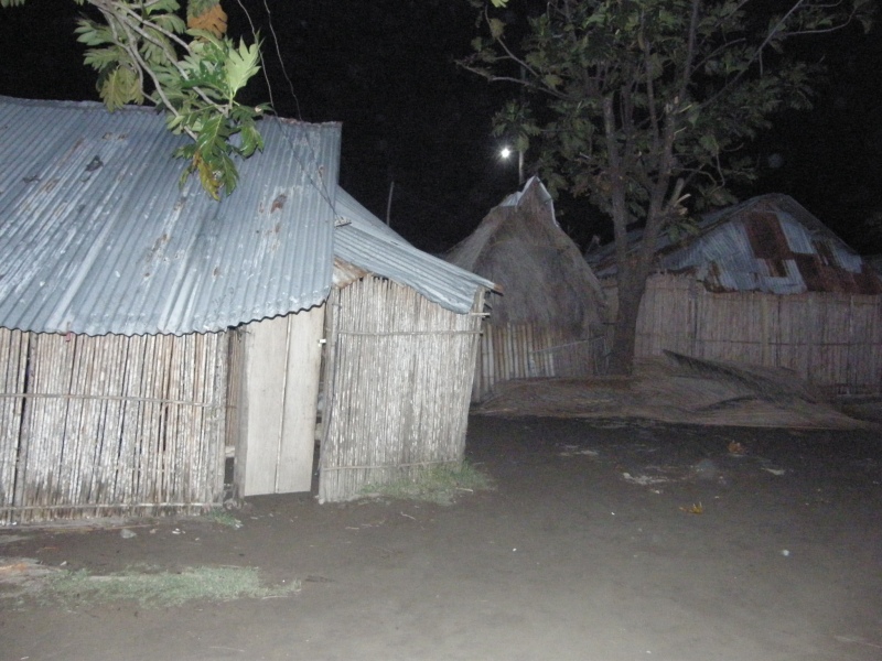 P2140473.jpg