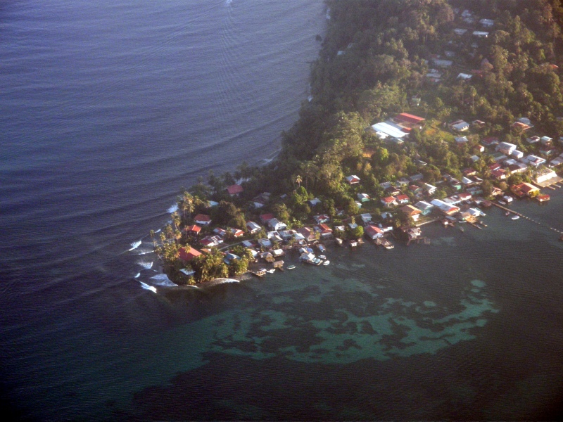 P2150517.jpg