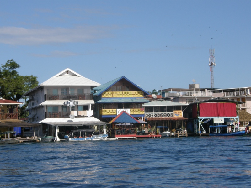 P2150555.jpg