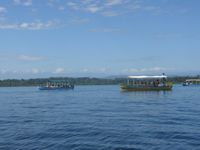 P2150564.jpg
