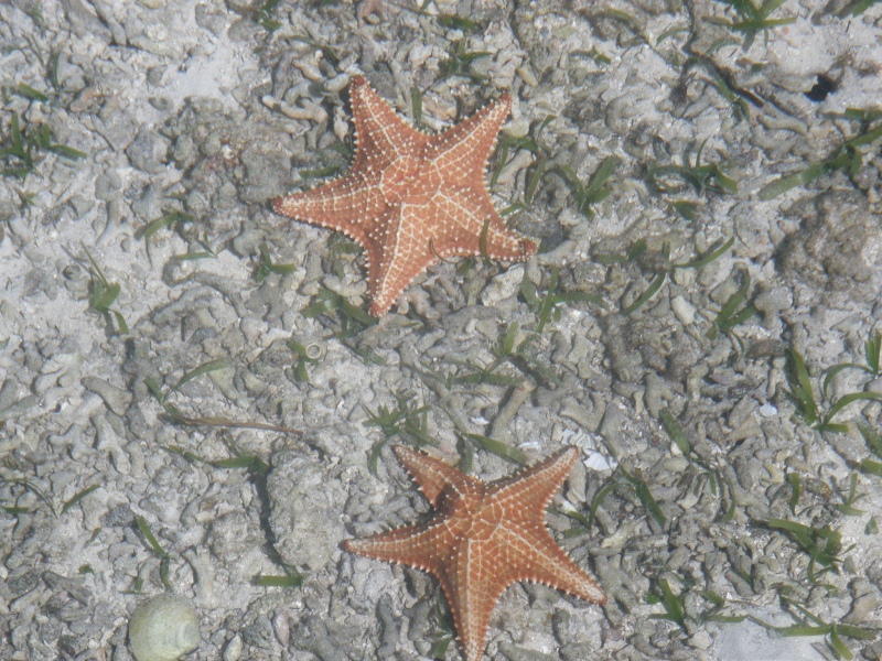P2150580.jpg