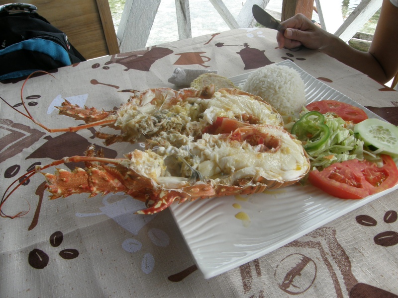 P2150630.jpg