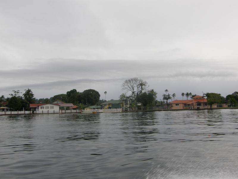 P2160682.jpg