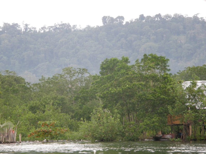 P2160684.jpg