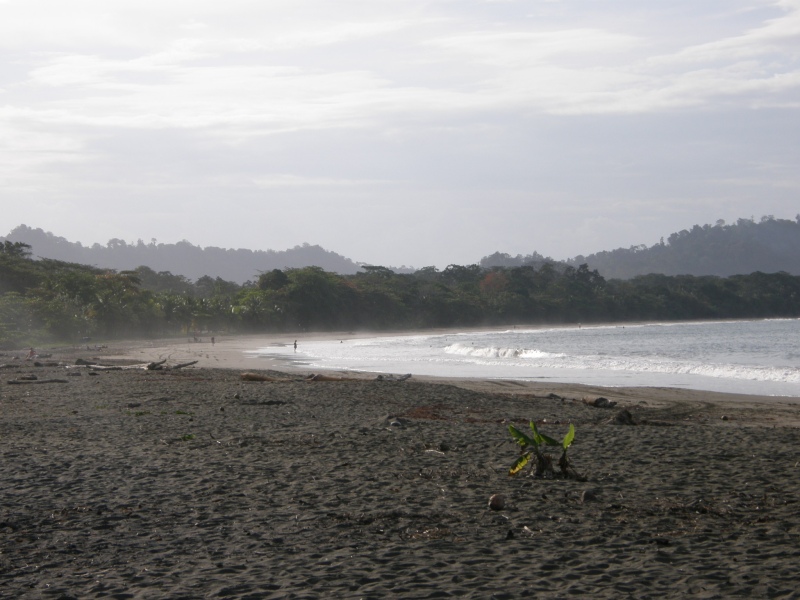 P2170817.jpg