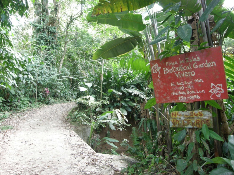 P2170833.jpg